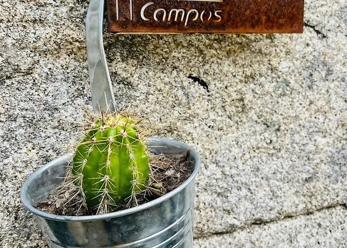 Casa Da Renda 度假居 *